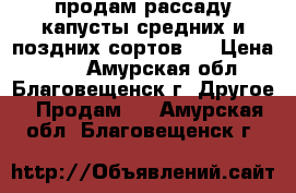 продам рассаду капусты средних и поздних сортов.  › Цена ­ 50 - Амурская обл., Благовещенск г. Другое » Продам   . Амурская обл.,Благовещенск г.